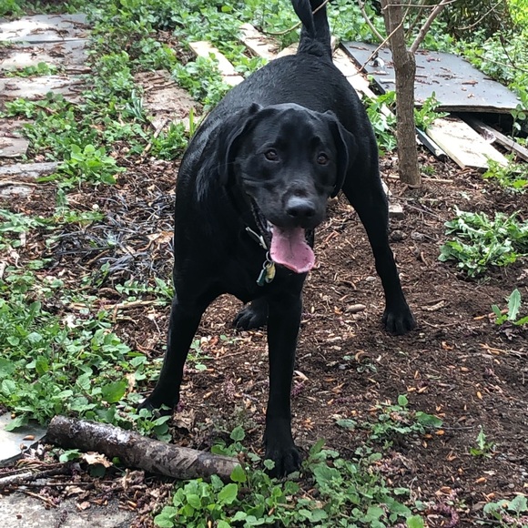 Meet your Posher, Mary - Picture 3 of 3